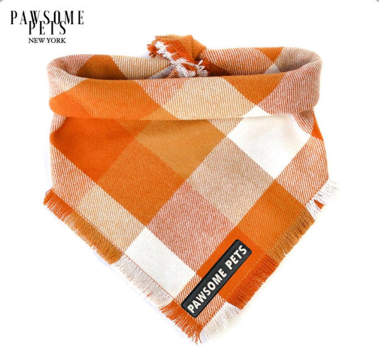 Bandana -  Pumpkin